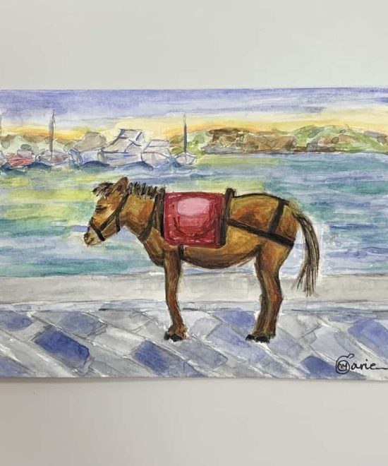 Donkey of Hydra island