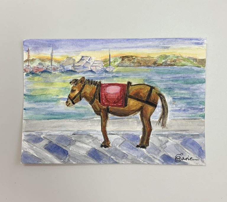Donkey of Hydra island