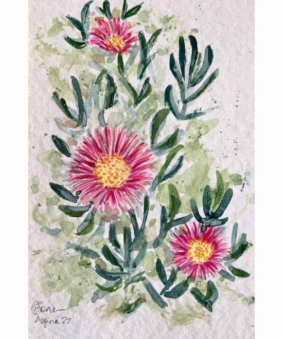 Purple Flowers of Aegina2