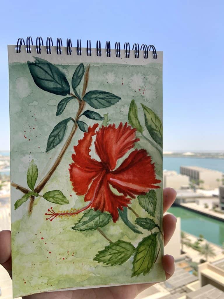 Hibiscus flower, Seychelles 2022