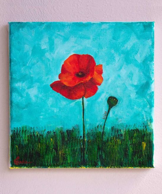 one poppie flower -bliss