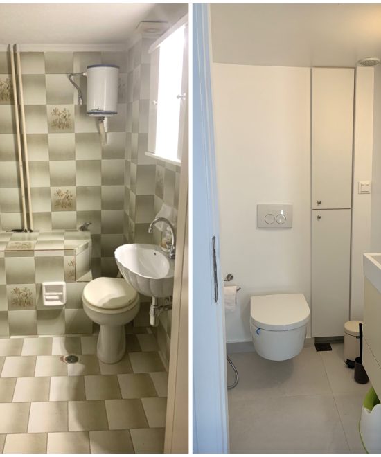 ανακαίνιση wc