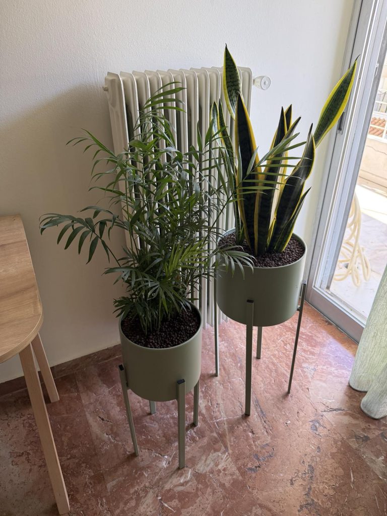 διακόσμηση γραφείου ψυχολόγου